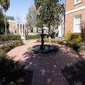 View of the Memorial Rose Garden.