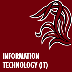 IT