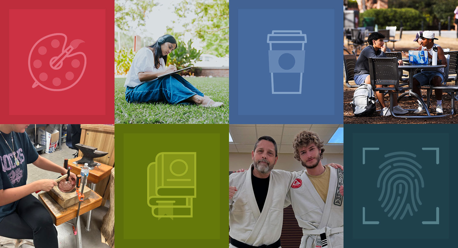eight squares with different images and icons representing the classes.