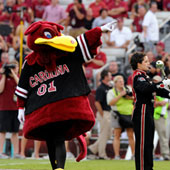 Cocky on football field